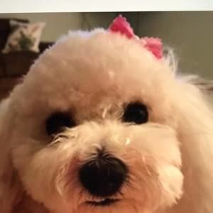 Meet your Posher, Nancy